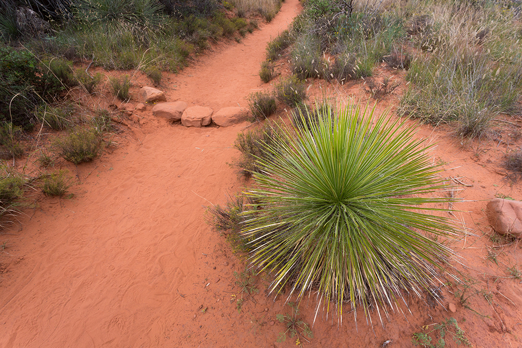 10-17 - 04.jpg - Fay Canyon Trail